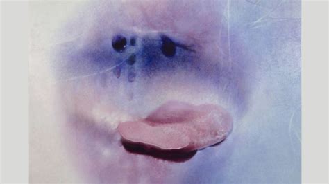 sensual mothers|Sex positivity after 70: Marilyn Minter’s sensual photographs of ...